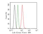 Lck Antibody in Flow Cytometry (Flow)