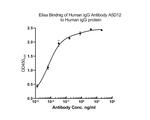 Human IgG Antibody in ELISA (ELISA)