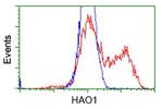 HAO1 Antibody in Flow Cytometry (Flow)