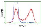 HAO1 Antibody in Flow Cytometry (Flow)