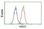 HAO1 Antibody in Flow Cytometry (Flow)