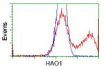 HAO1 Antibody in Flow Cytometry (Flow)