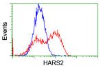 HARS2 Antibody in Flow Cytometry (Flow)