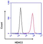 HDAC2 Antibody in Flow Cytometry (Flow)