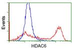 HDAC6 Antibody in Flow Cytometry (Flow)