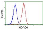 HDAC6 Antibody in Flow Cytometry (Flow)