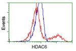 HDAC6 Antibody in Flow Cytometry (Flow)