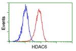 HDAC6 Antibody in Flow Cytometry (Flow)