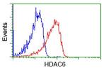 HDAC6 Antibody in Flow Cytometry (Flow)