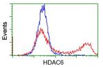 HDAC6 Antibody in Flow Cytometry (Flow)