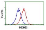 HDHD1 Antibody in Flow Cytometry (Flow)