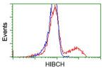 HIBCH Antibody in Flow Cytometry (Flow)