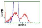 HIBCH Antibody in Flow Cytometry (Flow)