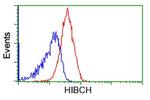 HIBCH Antibody in Flow Cytometry (Flow)