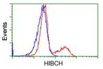 HIBCH Antibody in Flow Cytometry (Flow)