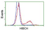 HIBCH Antibody in Flow Cytometry (Flow)