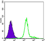 HK1 Antibody in Flow Cytometry (Flow)