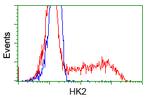 HK2 Antibody in Flow Cytometry (Flow)