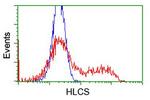 HLCS Antibody in Flow Cytometry (Flow)