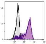 CTLA-4 Antibody in Flow Cytometry (Flow)