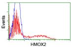 HMOX2 Antibody in Flow Cytometry (Flow)