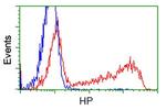 HP Antibody in Flow Cytometry (Flow)