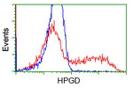 HPGD Antibody in Flow Cytometry (Flow)