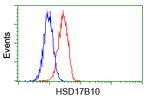 HSD17B10 Antibody in Flow Cytometry (Flow)