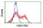 HSD17B2 Antibody in Flow Cytometry (Flow)