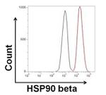 HSP90 beta Antibody in Flow Cytometry (Flow)