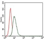 HSP90 alpha Antibody in Flow Cytometry (Flow)