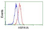 HSPA1A Antibody in Flow Cytometry (Flow)