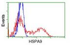 HSPA9 Antibody in Flow Cytometry (Flow)