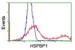 HSPBP1 Antibody in Flow Cytometry (Flow)