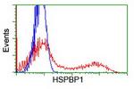 HSPBP1 Antibody in Flow Cytometry (Flow)