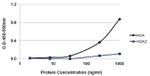 Histone H2A Antibody in ELISA (ELISA)