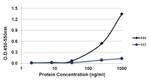 Histone H4 Antibody in ELISA (ELISA)