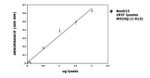 Huntingtin Antibody in ELISA (ELISA)