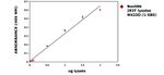 Huntingtin Antibody in ELISA (ELISA)