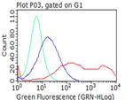 ICAM1 Antibody in Flow Cytometry (Flow)