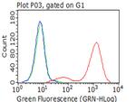 ICAM1 Antibody in Flow Cytometry (Flow)