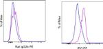 IDO Antibody in Flow Cytometry (Flow)