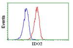 IDO2 Antibody in Flow Cytometry (Flow)