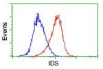 IDS Antibody in Flow Cytometry (Flow)