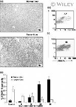 Ly-6G/Ly-6C Antibody in Flow Cytometry (Flow)