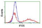 IFI35 Antibody in Flow Cytometry (Flow)