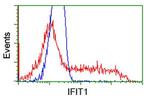 IFIT1 Antibody in Flow Cytometry (Flow)