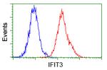 IFIT3 Antibody in Flow Cytometry (Flow)