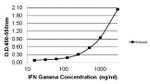 IFN gamma Antibody in ELISA (ELISA)