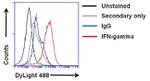 IFN gamma Antibody in Flow Cytometry (Flow)